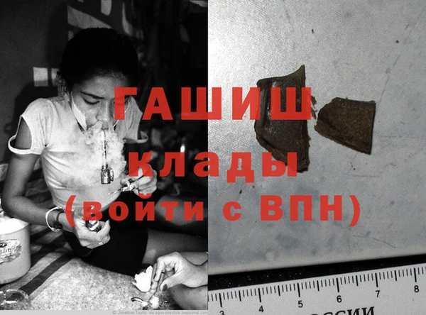 гашик Богданович