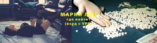гашик Богданович
