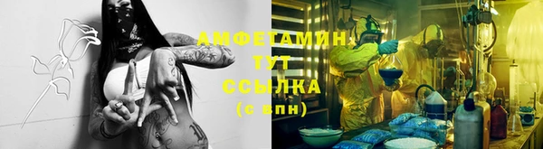 молекула духа Богородск