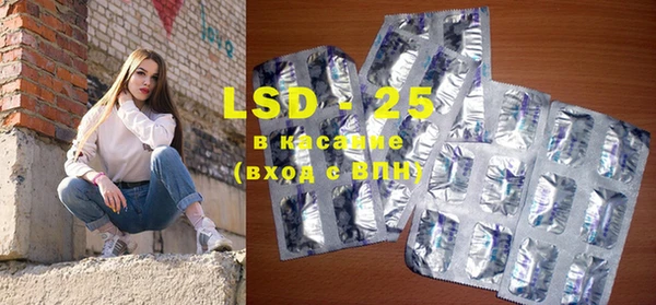 гашик Богданович