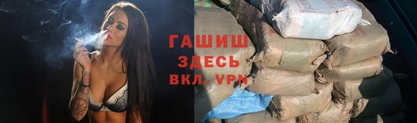 гашик Богданович