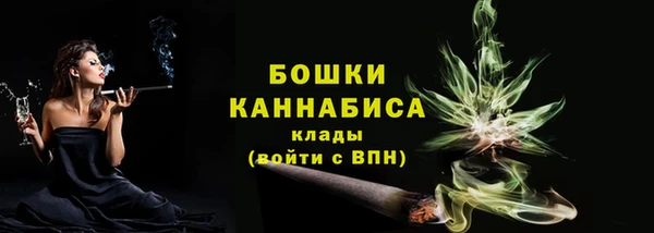 гашик Богданович