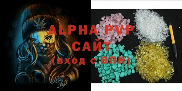 гашик Богданович