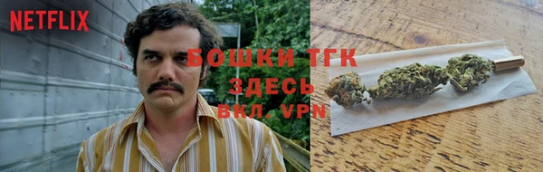молекула духа Богородск